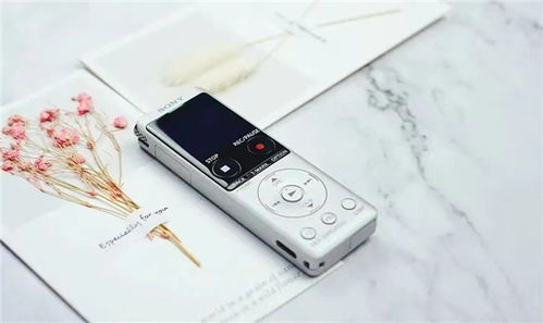 专业与趣味并存 索尼ICD-UX570F录音笔的“小花招”